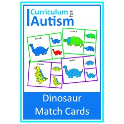 Dinosaur Identical Match Clip Cards 